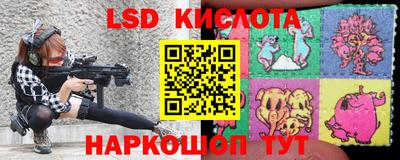 прущие грибы Тверь