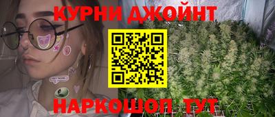 прущие грибы Тверь