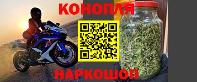 прущие грибы Тверь