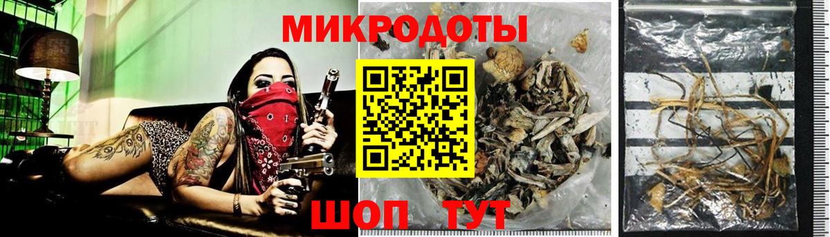 Каменск-Шахтинский  Псилоцибиновые грибы MAGIC MUSHROOMS  Вход с VPN  Псилоцибиновые грибы мухоморы 